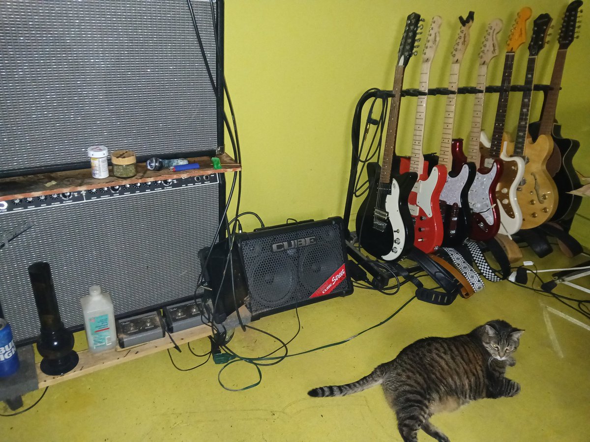 #kikidakat in the Batcave. 

#cats #CatsOfTwitter #caturday #hedgewatch #music #musician #singer #guitarist #420friendly #CannabisCommunity #stoners #dtla #dtlaartsdistrict
