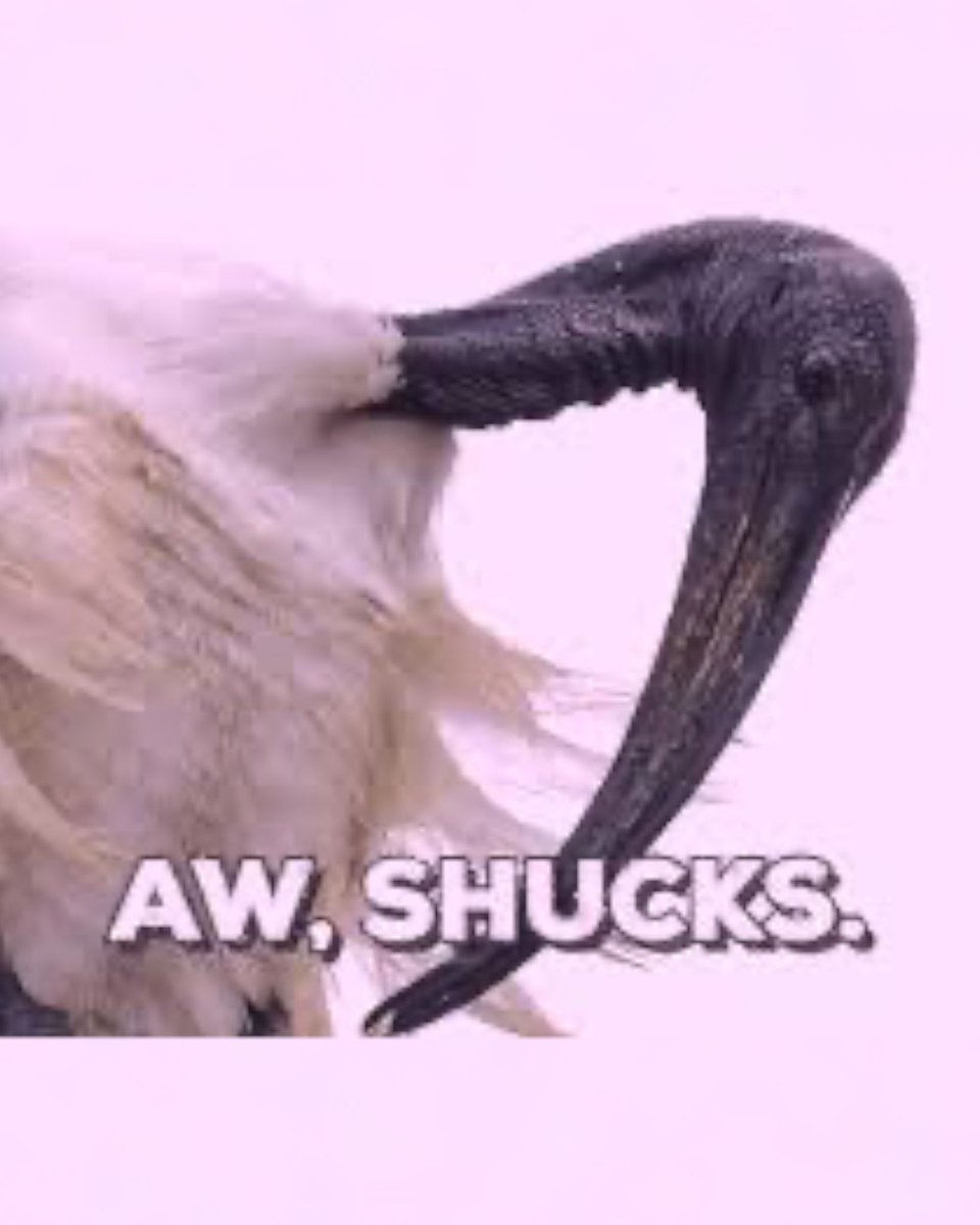 CuseFootball's tweet image. Just a light drizzle ☔️