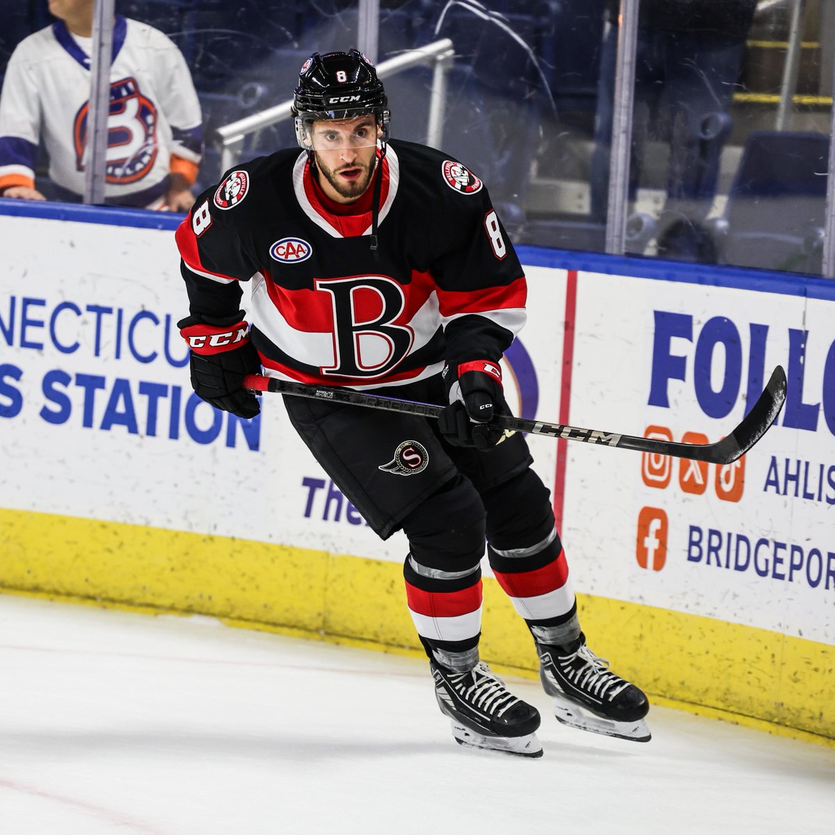 Belleville Senators tweet media