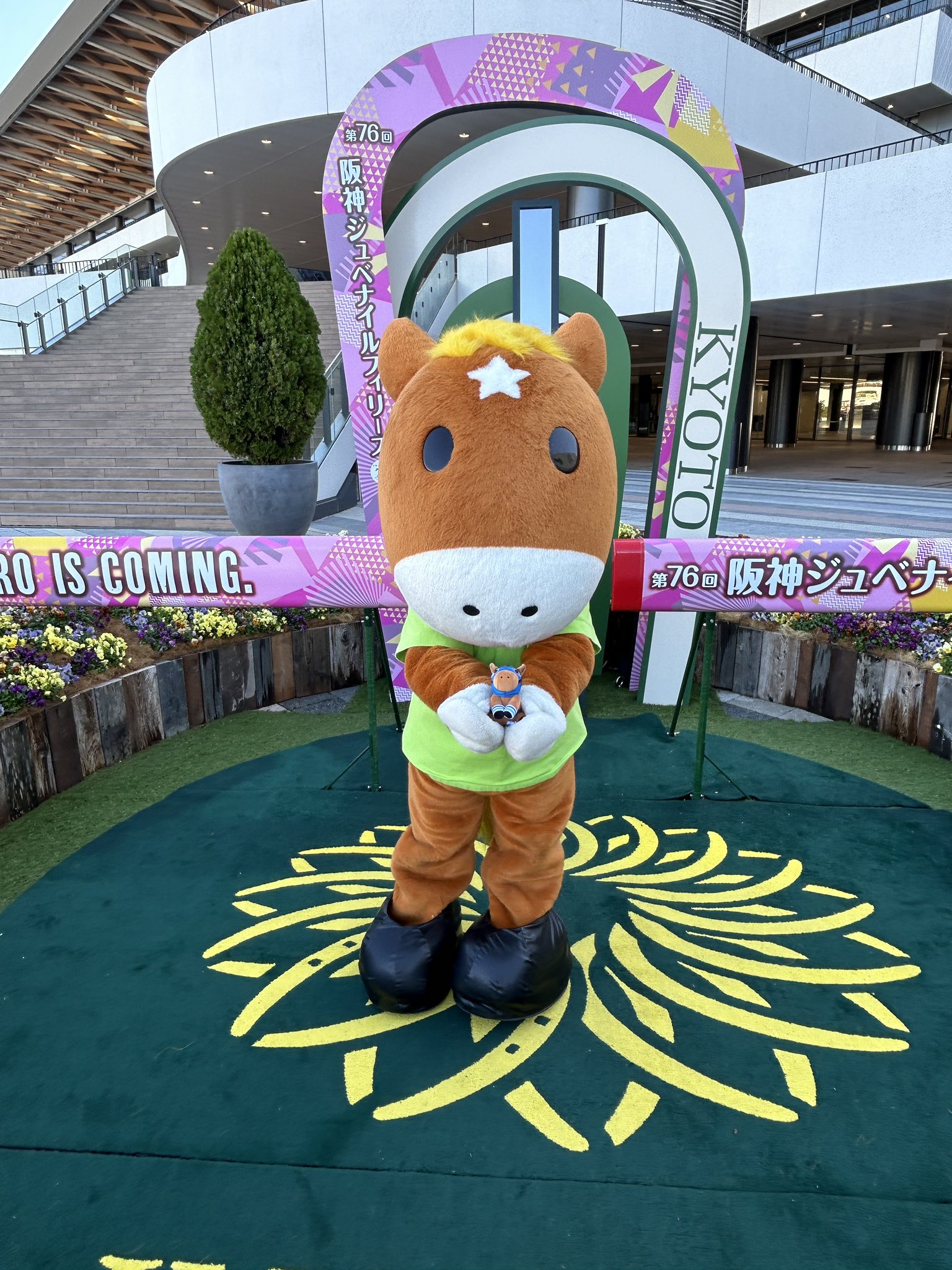 JRA京都競馬場 on X: JRA京都競馬場 on X:
