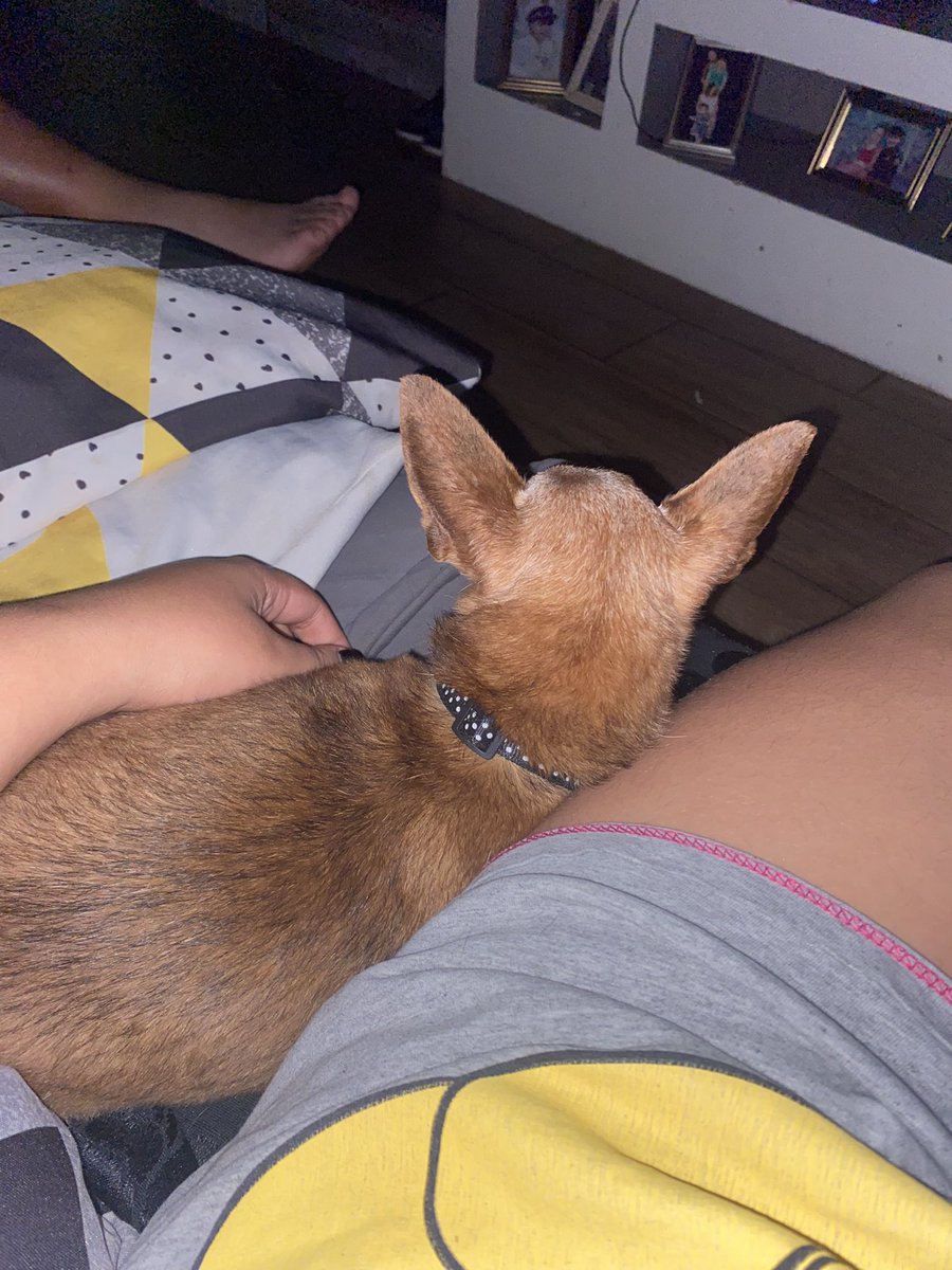 azevedo__g's tweet photo. Te amo🫵🏻🦘 https://t.co/IrbXmko0nD