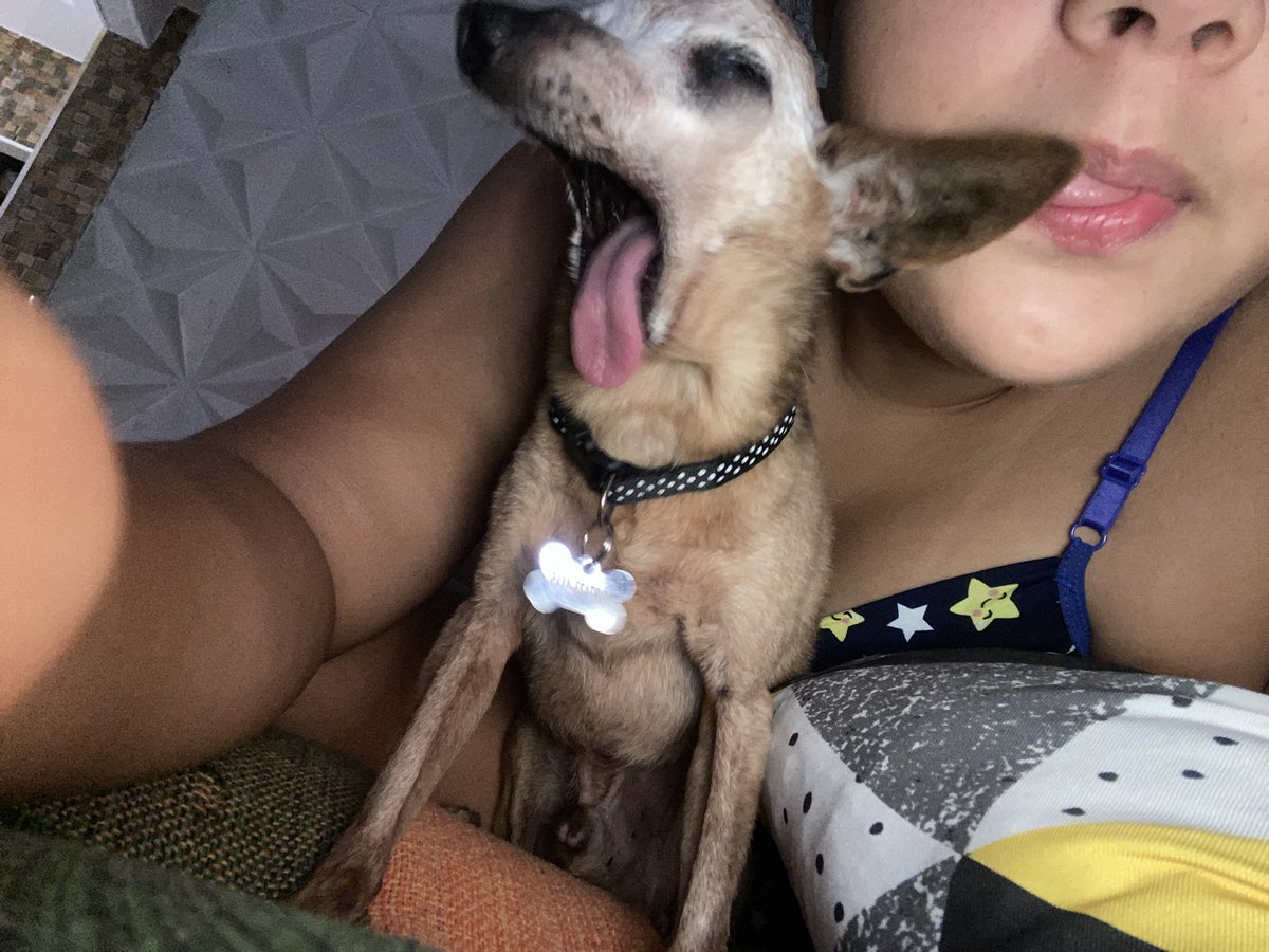 azevedo__g's tweet photo. Te amo🫵🏻🦘 https://t.co/IrbXmko0nD