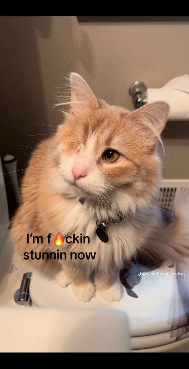 What did i say? $wink