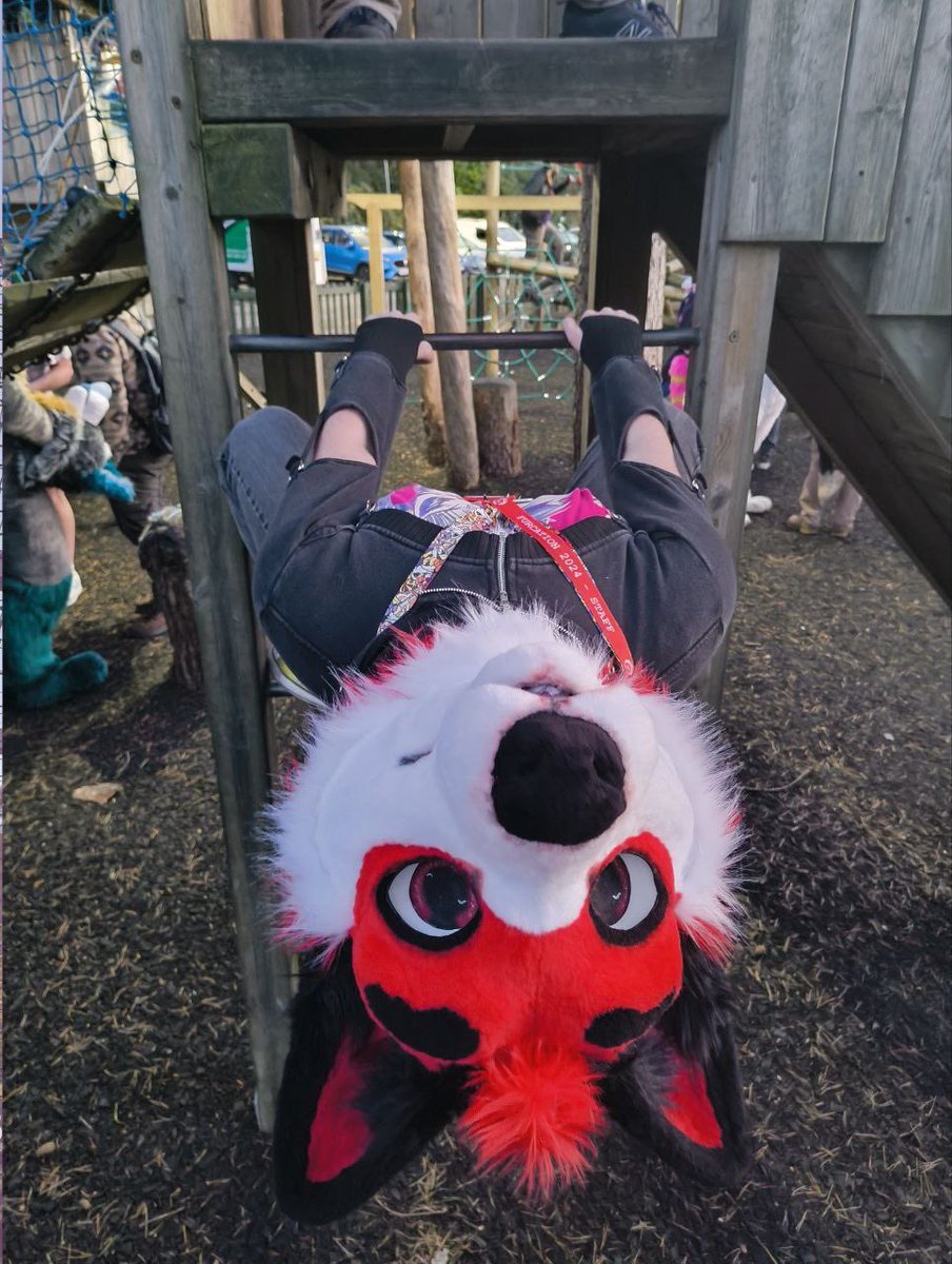 D’Come here often?
#furcation2024