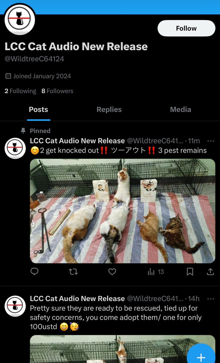 OPERATION BLEACH tweet media