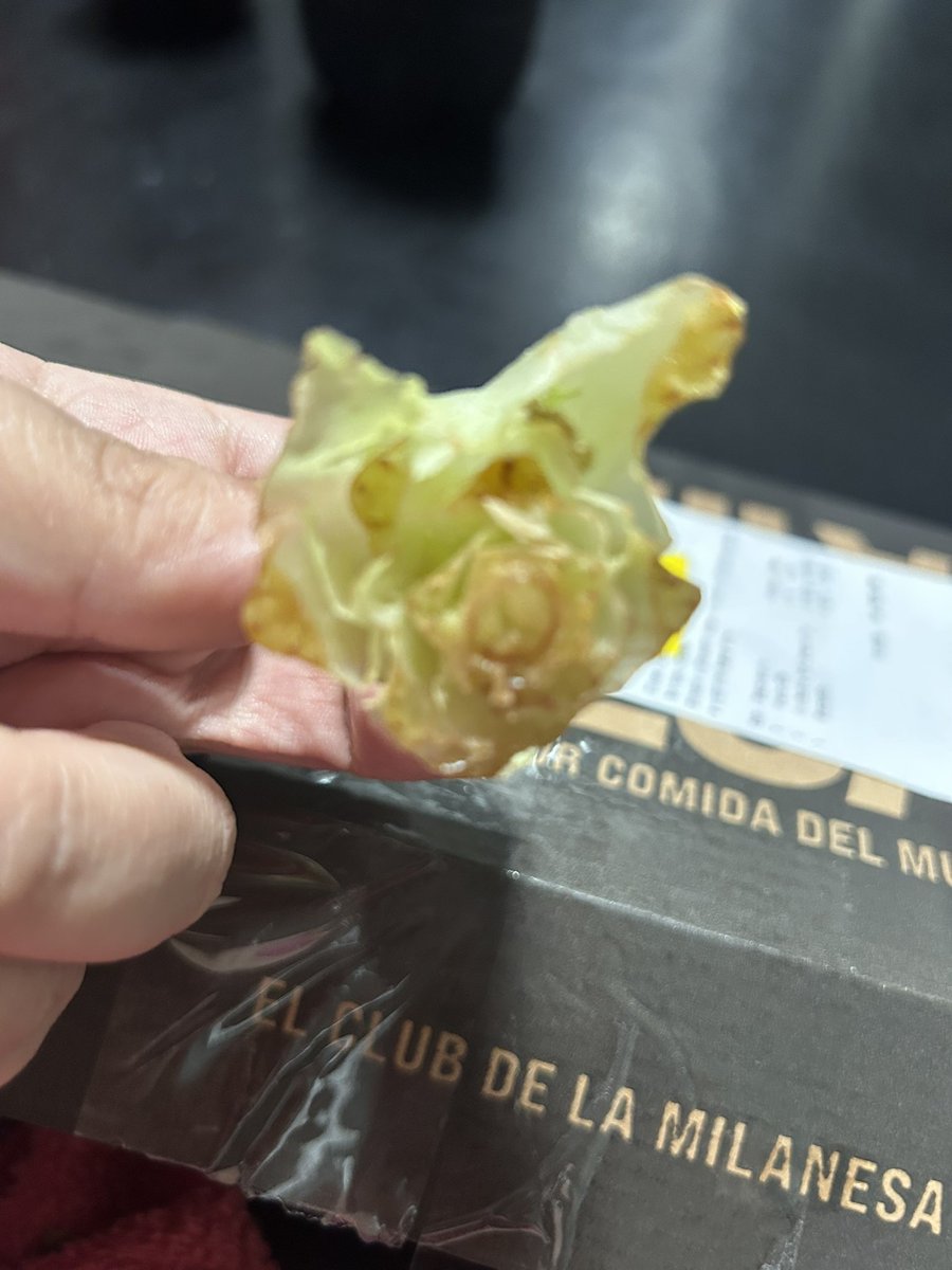 Mickeylaah's tweet photo. Gracias @elclubdelamila por mandarme también adentro del sandwich el rabo de la lechuga. #queasco https://t.co/1g7V1qe4g8
