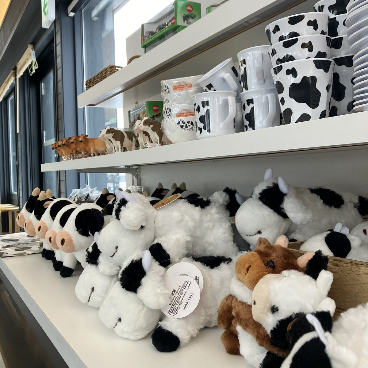farmdesigns2's tweet photo. 🐄ファームエリア店🐄
12/1 本日Open🎉
冬期営業は【9:00〜16:00 LO15:30】
☃️
スキー場全コースOpenに向けて着々と雪が降ってきてます!
チーズケーキやサンドなど
薪ストーブで温めた店内でお寛ぎください☕️
#farmdesigns
#チーズケーキ
#牧場 https://t.co/DC5kyrLh3Y