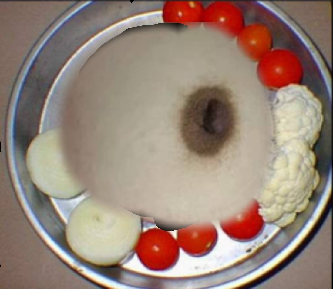 好看吗
