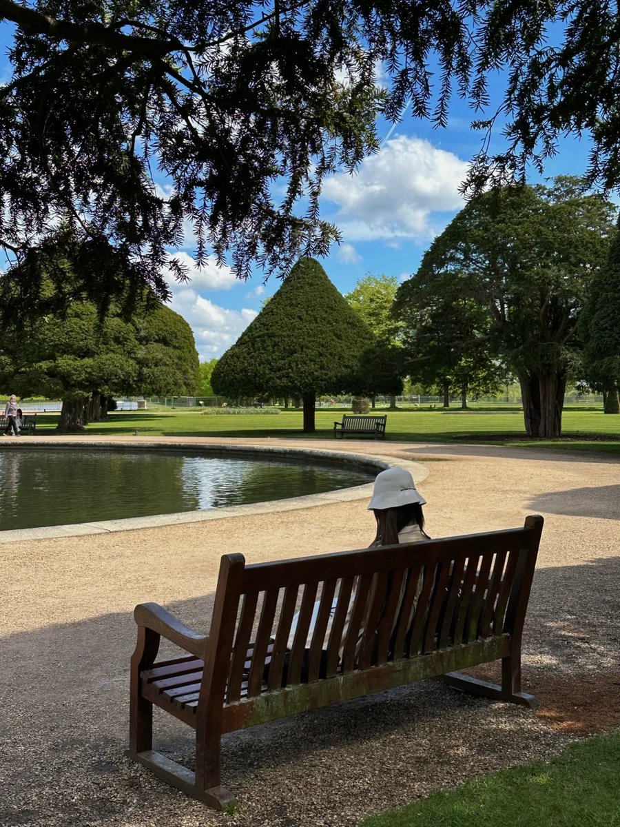 orientalli's tweet image. A peaceful park scene with benches and large, lush trees under a blue sky.