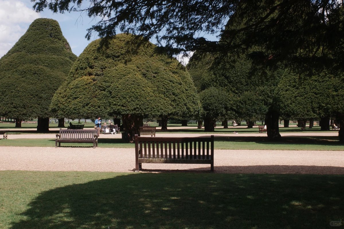 orientalli's tweet image. A peaceful park scene with benches and large, lush trees under a blue sky.
