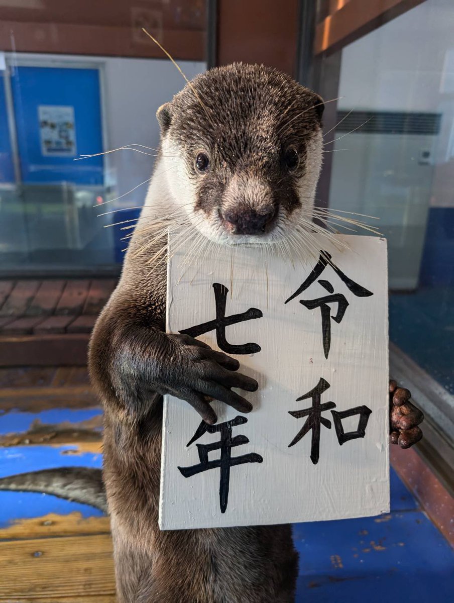 iseseaparadise's tweet photo. ひらりくん「年賀状とかの準備まだやってない人これ使っていいよ？」

としっかり決めポーズしてくれました✨

こちらの写真年賀状や、メッセージでの新年のご挨拶等にご自由にお使い下さい😊

ちなみに年末年始はひらりくんがこれを持っている所を実際に撮影できるかも⁉️ https://t.co/UWTglU5FLI