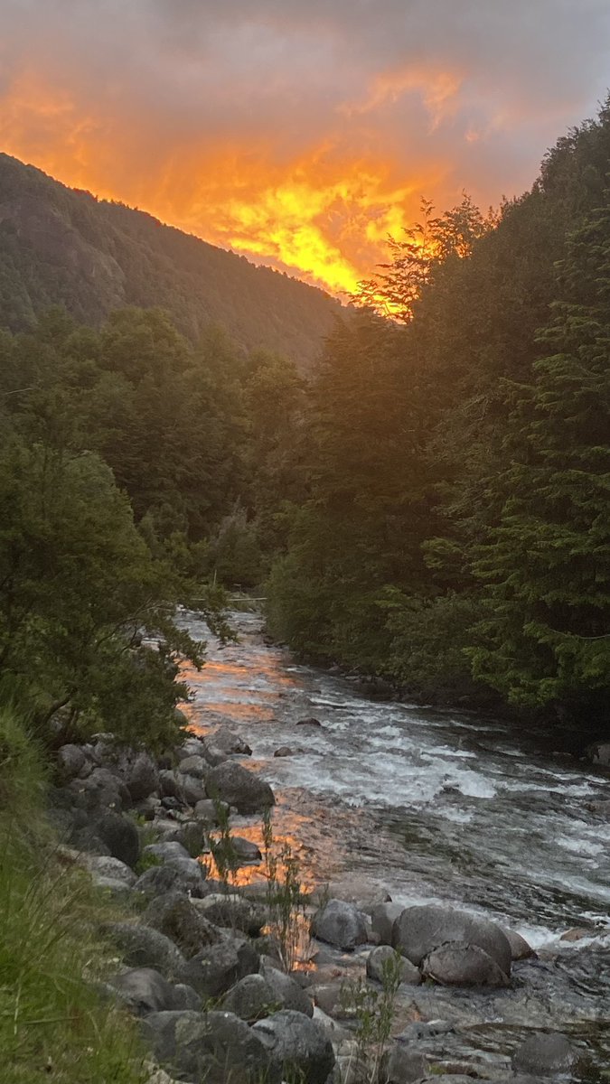 AledeValpito's tweet photo. Si alguien quiere imaginarse cómo amanece y cómo se va la tarde en el paraíso…debe ser algo muy cercano a ésto …sin ninguna duda 🌻🙌🏽

#CumpleFeliz 🥳
#RiosLibres 🏞️
#BosqueNativo 🌳
#Termas 💚 https://t.co/QSgIFcnRqt