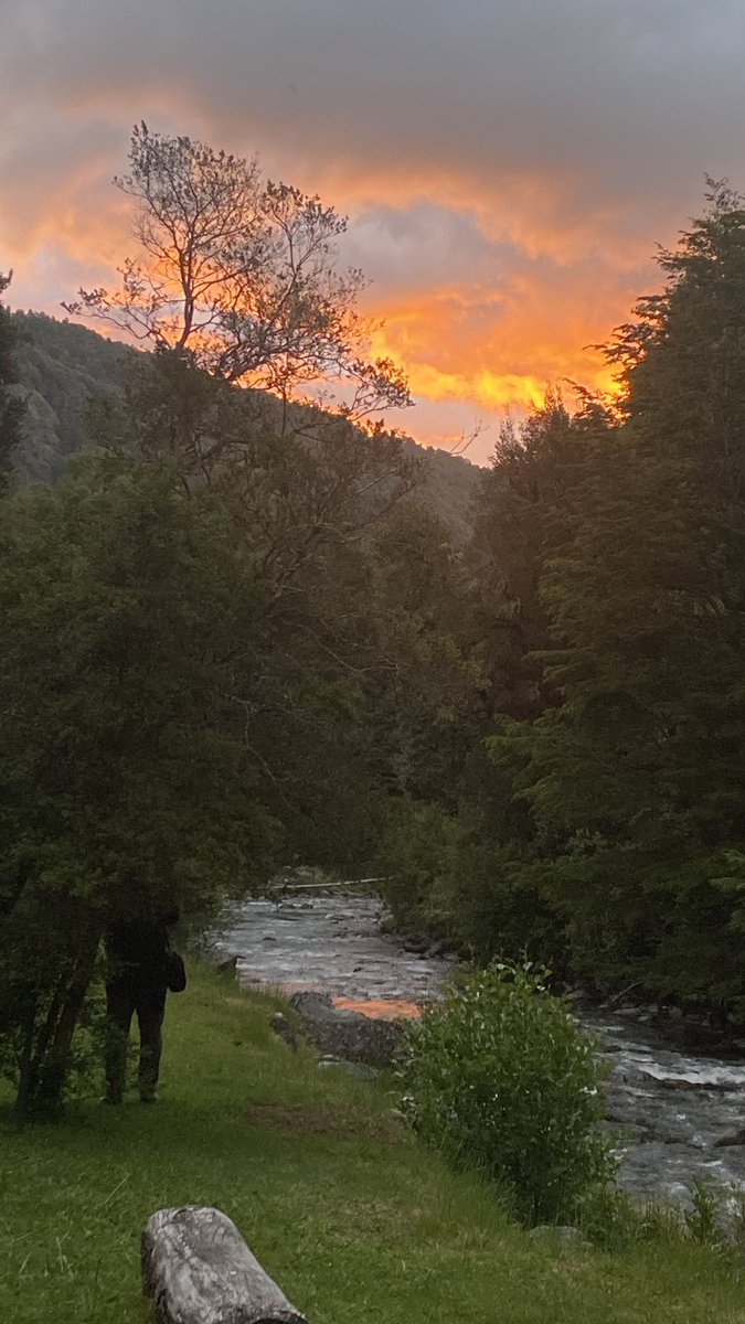 AledeValpito's tweet photo. Si alguien quiere imaginarse cómo amanece y cómo se va la tarde en el paraíso…debe ser algo muy cercano a ésto …sin ninguna duda 🌻🙌🏽

#CumpleFeliz 🥳
#RiosLibres 🏞️
#BosqueNativo 🌳
#Termas 💚 https://t.co/QSgIFcnRqt