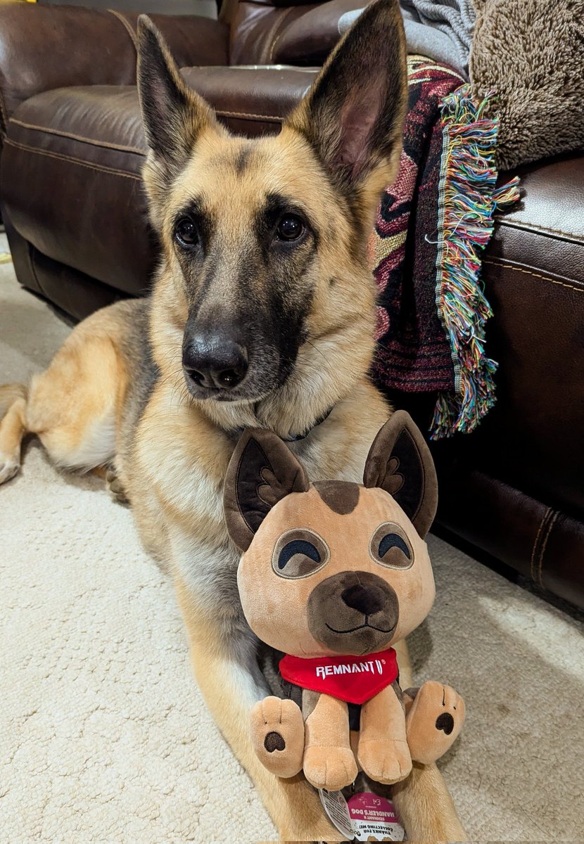 Straya Obscura, Mother of Ahamkara tweet media