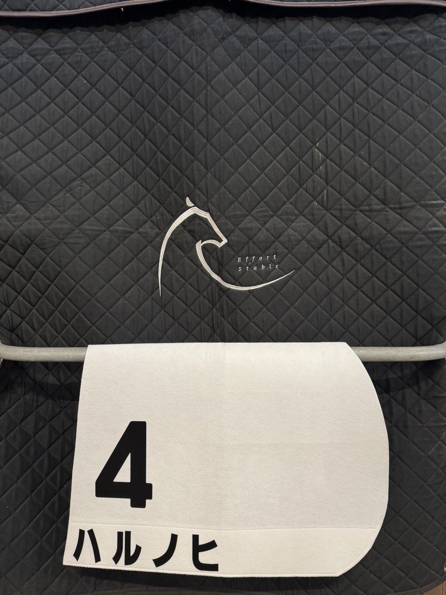 EffortStable's tweet image. RRC引退競走馬杯デビュー！
競走馬時代の馬主さんも来場予定。
ライダーは妻に変わりましたがハルノヒには可愛く最後まで頑張ってほしいです。
#RRC
#馬事公苑