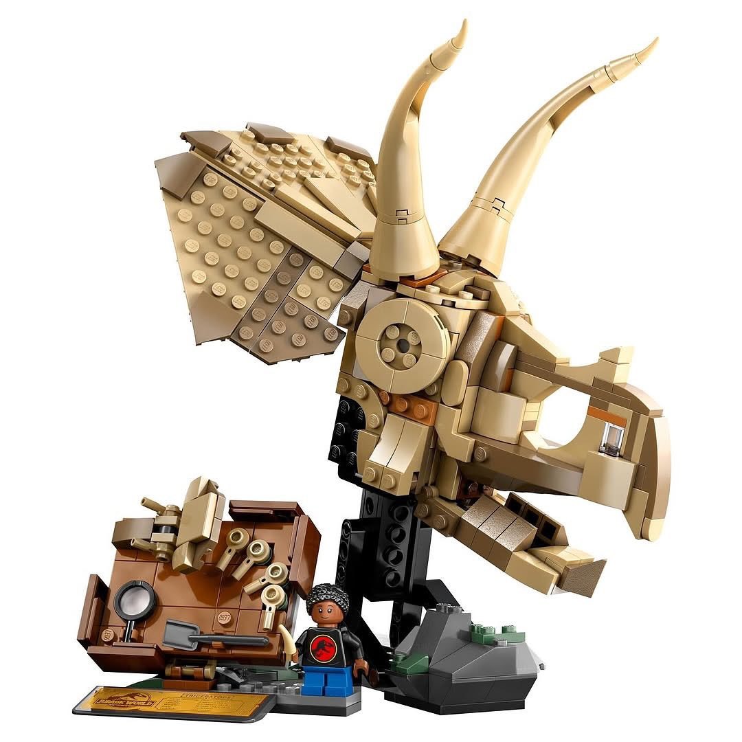 LegoBrickVault's tweet photo. Two new LEGO set reveals https://t.co/geiHSKiKx2