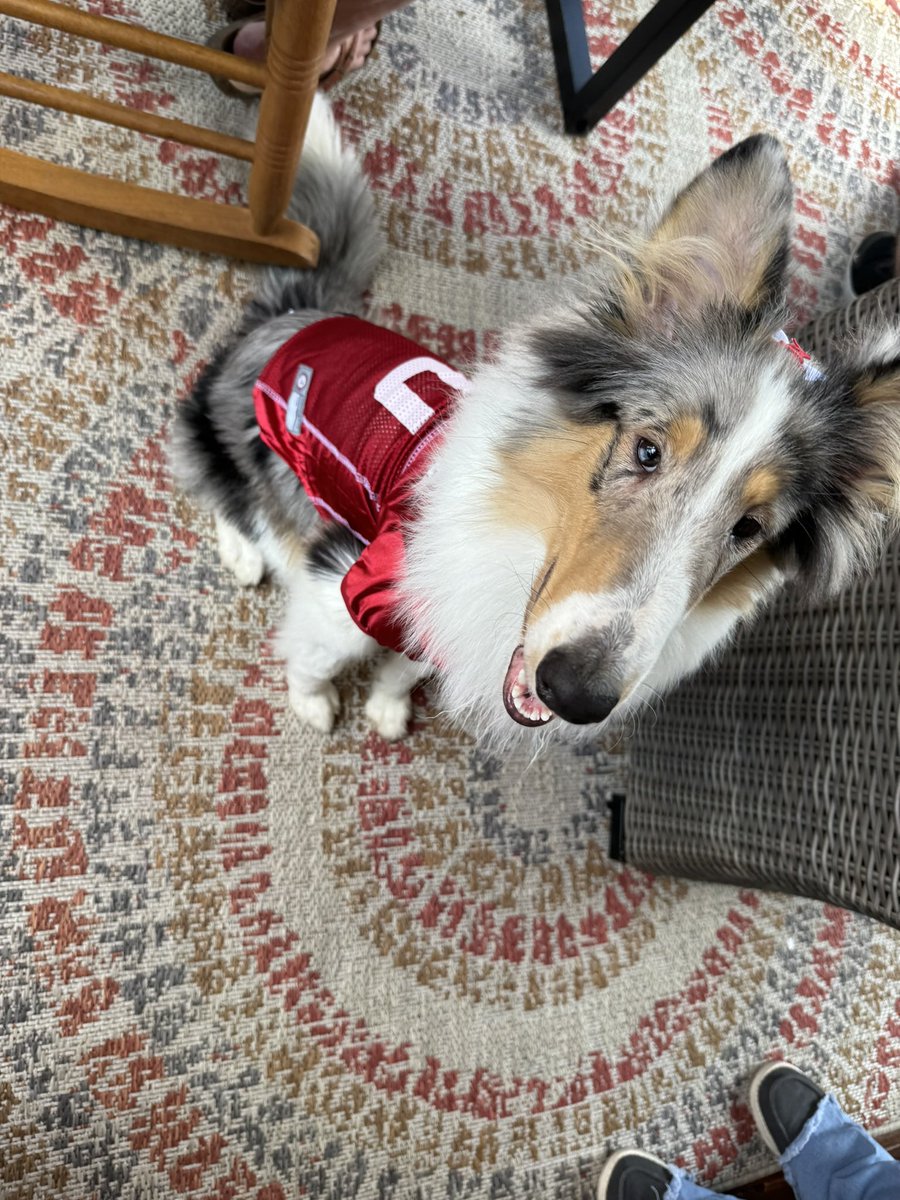 JaseNewell's tweet photo. Alright Miss @reveille we are Bama fans but we are rooting for you and @AggieFootball https://t.co/Cjt0gyNxOE