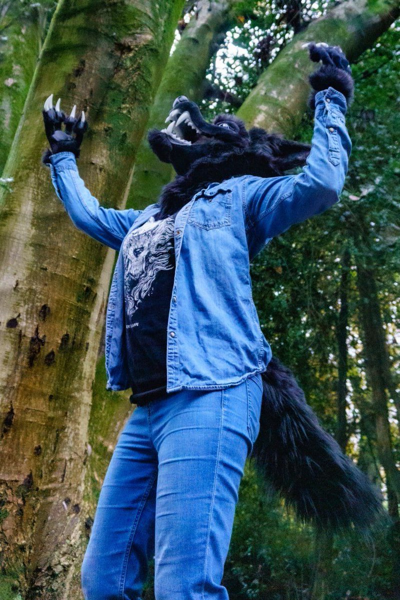 AAARRRRGGGGGGG, SOMEONE GOT FUR ALL OVER AND CHEWED UP MY FAVORITE CHAIR, oh wait that was me.  

Someone PLEASE give this guy a home!  They need to get outta here!  (see pinned post for details!)

#furry #fursuit #fursuitforsale #fursuitmaker #werewolf #lycanthrope