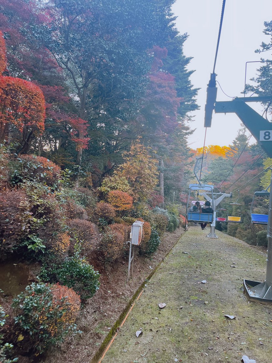 178mfmf37's tweet photo. 高尾山🍁初詣バリに人すごかった！
頂上付近で食べたごま入ってるみたらし団子がおいしすぎたな🥺✨
11:30くらいについて16:00頃降りたかな？寒かったからあったかい食べ物美味しいし、吊り橋側から行ってちょっと過酷だったけど満喫できましたー🥰 https://t.co/4h2gA8kliP