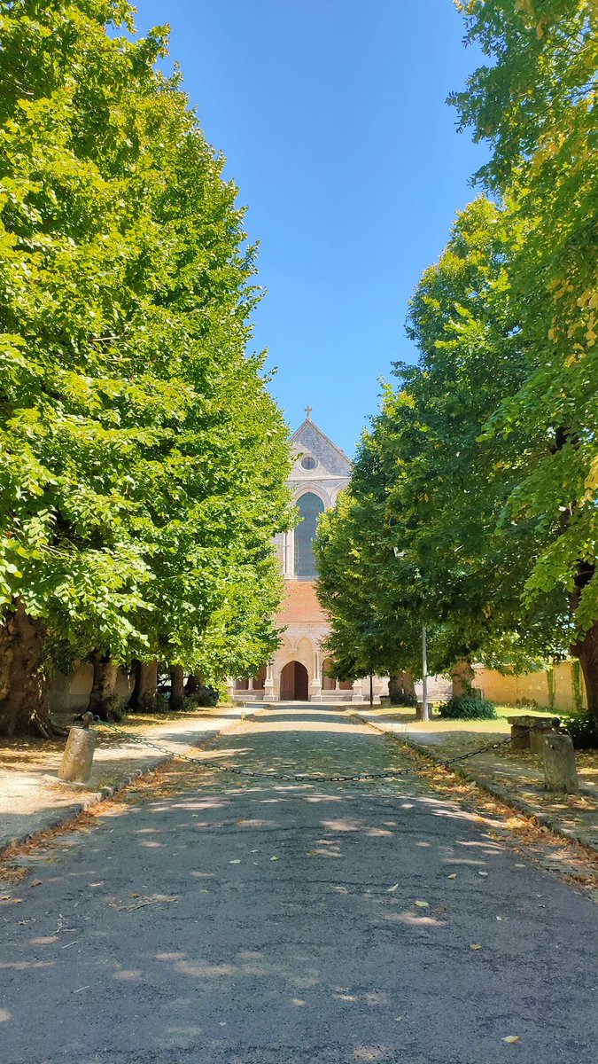 CBreteuil's tweet photo. [Calendrier de l'avent 2024]
24 jours, 24 églises ⛪

Comme un long voyage jusque Noël, chaque jour un lieu de culte 

Pas forcément, les plus grandes, ni les plus belles, mais les églises , abbayes ou cathédrales qui m'ont touché.

J'espère que vous y prendrez du plaisir 😊 https://t.co/lqiCQAIUq1