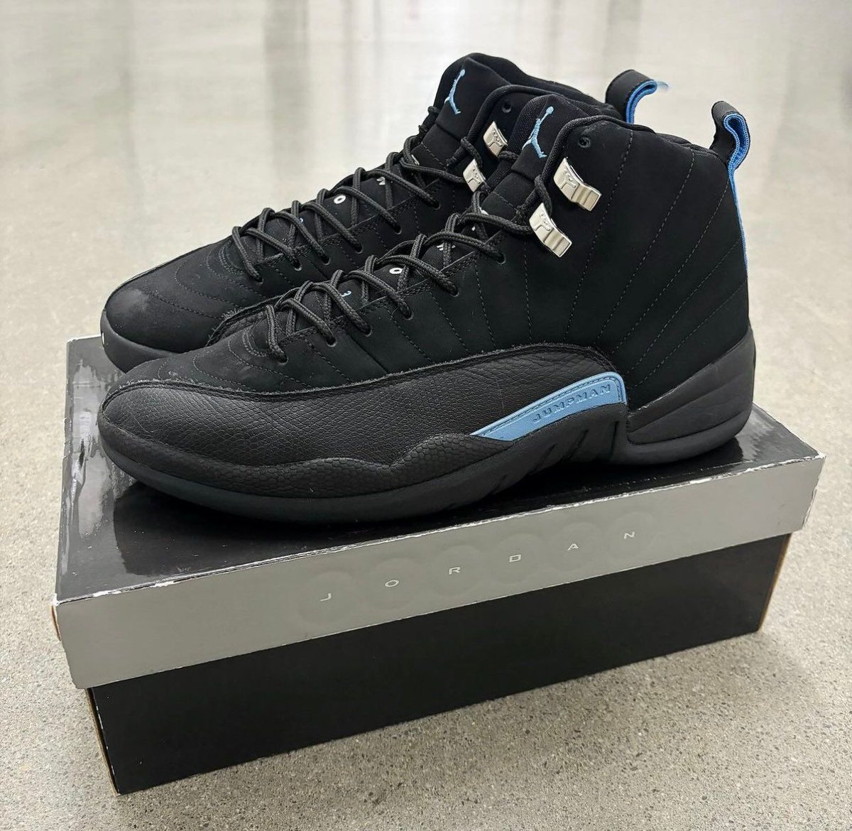 2009 jordan 12