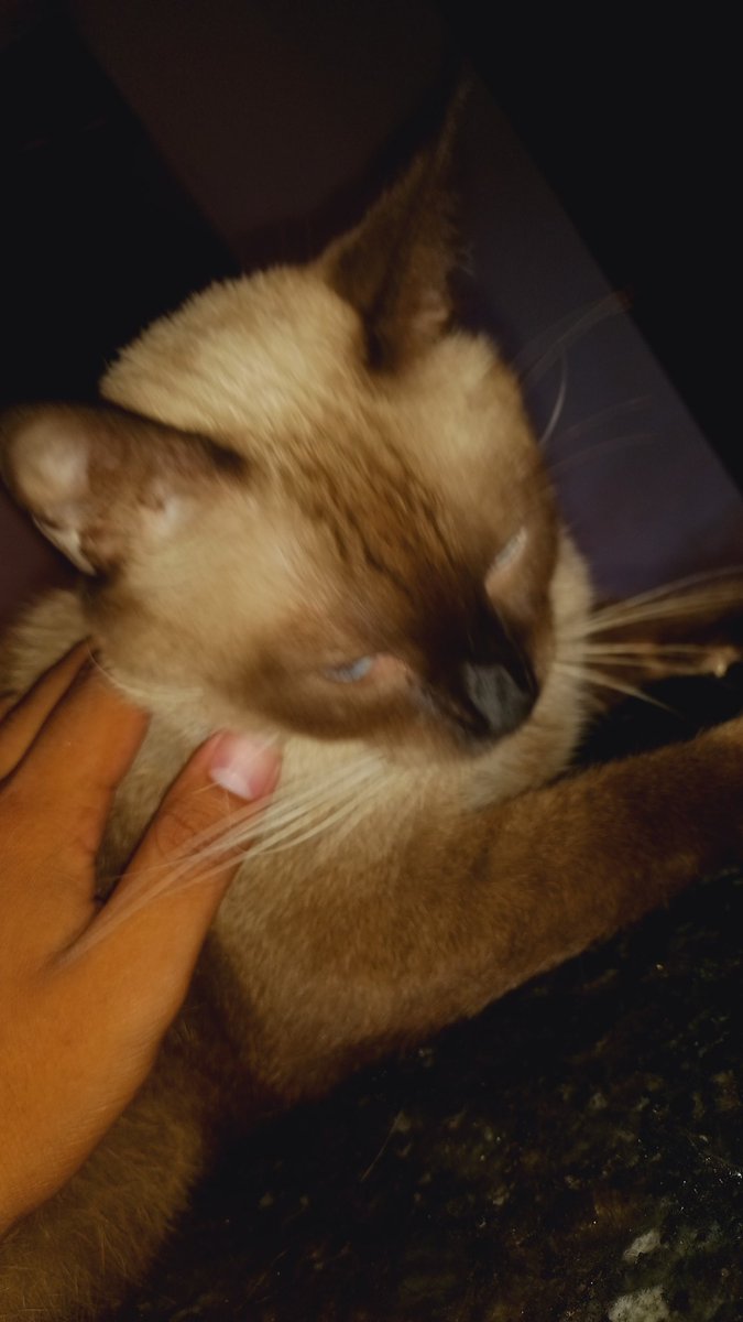 WillianRyan12's tweet image. sou um cara simples duma cidade simples chamada timon, por que a simplicidade e a qualidade de ser compreensΓvel nΓ£o me tira os medos e as inseguranΓ§as?
pelo ao menos, a realidade e as coisas bonitas dela me dΓ£o muitos sentidos pra seguir na perseveranΓ§a e seguir vivo e "bem" :))
