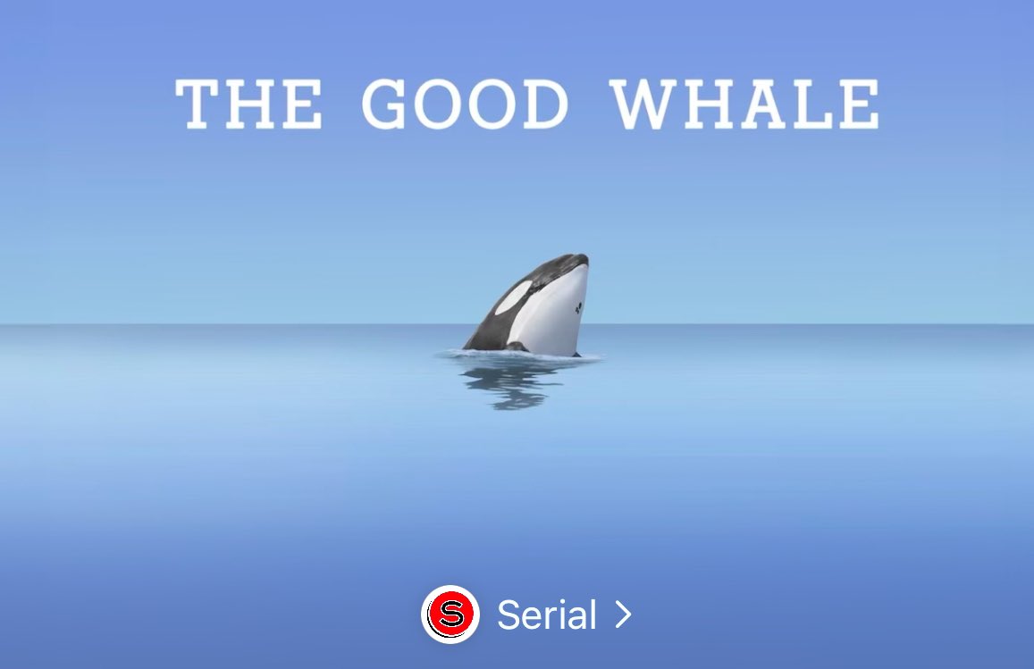 When the movie “Free Willy” is released, word gets out that the star, a killer whale named Keiko, is sick and living in a tiny pool at an amusement park. An environmentalist sets out to give the fans what they want: their favorite celebrity orca back in the sea. #podcast