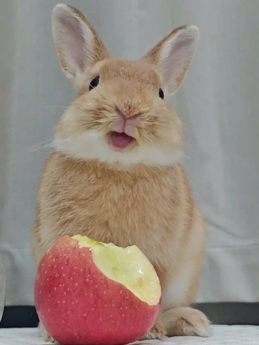 HANI_BERRY_1004's tweet photo. ㅋㅋㅋㅋㅋㅋㅋㅋㅋㅋㅋㅋㅋㅋㅋㅋㅋㅋㅋㅋㅋㅋㅋㅋㅋㅋㅋㅋ 하니시🐰❤️ https://t.co/zobDeprokW
