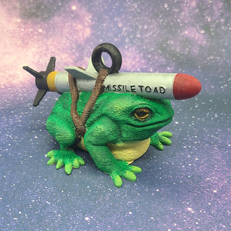 capt_petabyte's tweet photo. Welp, its officially December so time to hang up the #MissileToad for #Christmas! ππ https://t.co/SoSOZ7zXAl