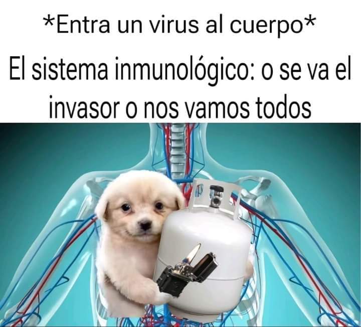 Memes Universidad Nacional (@nacional_memes) on Twitter photo 