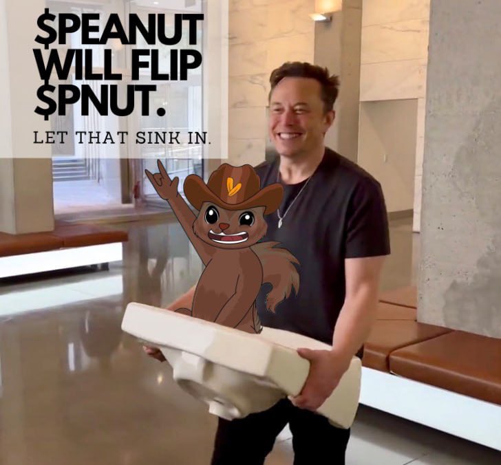 R_Hawk_84's tweet photo. @Fishstix_420 @cryptojourneyrs @OGpeanut_sol The real ticker is $Peanut! Everything you're looking for in a community, is here. We work 24/7 for our bags. We understand the assignment! Come check out our 24/7 tg/vc.

@OGpeanut_sol 
#ByThePeopleForThePeople
#BTPFTP https://t.co/yXuMemCkr0