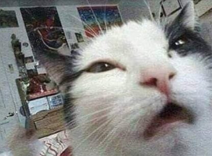 kozmic_blues369's tweet photo. io così quando faccio skincare a quest'ora... 😅
#thoughtsofthenight https://t.co/gkHuLk84fI