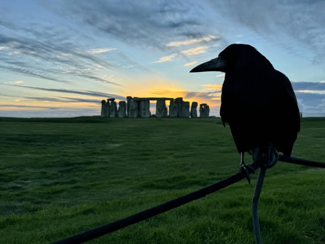 Dr Peach's Stone Temple Gardening. tweet media