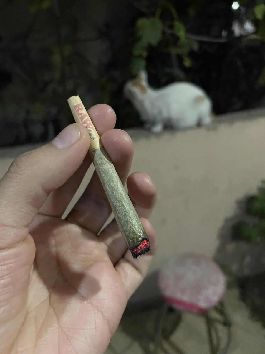Angeel_Artesano's tweet photo. Fumando un porro con mi real 🐈 https://t.co/PUtlW4MXmu