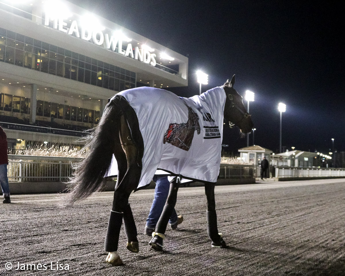 Lisa Photo (@lisaphotom1) on Twitter photo The <a href="/Breeders_Crown/">Breeders Crown</a> & <a href="/Hambletonian_/">Hambletonian</a> winner Karl retires <a href="/TheMeadowlands/">Meadowlands Racing</a> <a href="/JessicaOtten1/">Jessica Otten</a> <a href="/DaveLittleBigM/">Dave Little</a> #harnessracing #PlayBigM <a href="/JimmyTakter/">Jimmy Takter</a> <a href="/Gingras3/">Yannick Gingras</a> <a href="/vicki_gingras/">Gingras3wifey</a> <a href="/Elinemjo/">Elin</a> <a href="/NancyTakter/">Nancy Takter Stable</a> The <a href="/Breeders_Crown/">Breeders Crown</a> & <a href="/Hambletonian_/">Hambletonian</a> winner Karl retires <a href="/TheMeadowlands/">Meadowlands Racing</a> <a href="/JessicaOtten1/">Jessica Otten</a> <a href="/DaveLittleBigM/">Dave Little</a> #harnessracing #PlayBigM <a href="/JimmyTakter/">Jimmy Takter</a> <a href="/Gingras3/">Yannick Gingras</a> <a href="/vicki_gingras/">Gingras3wifey</a> <a href="/Elinemjo/">Elin</a> <a href="/NancyTakter/">Nancy Takter Stable</a>