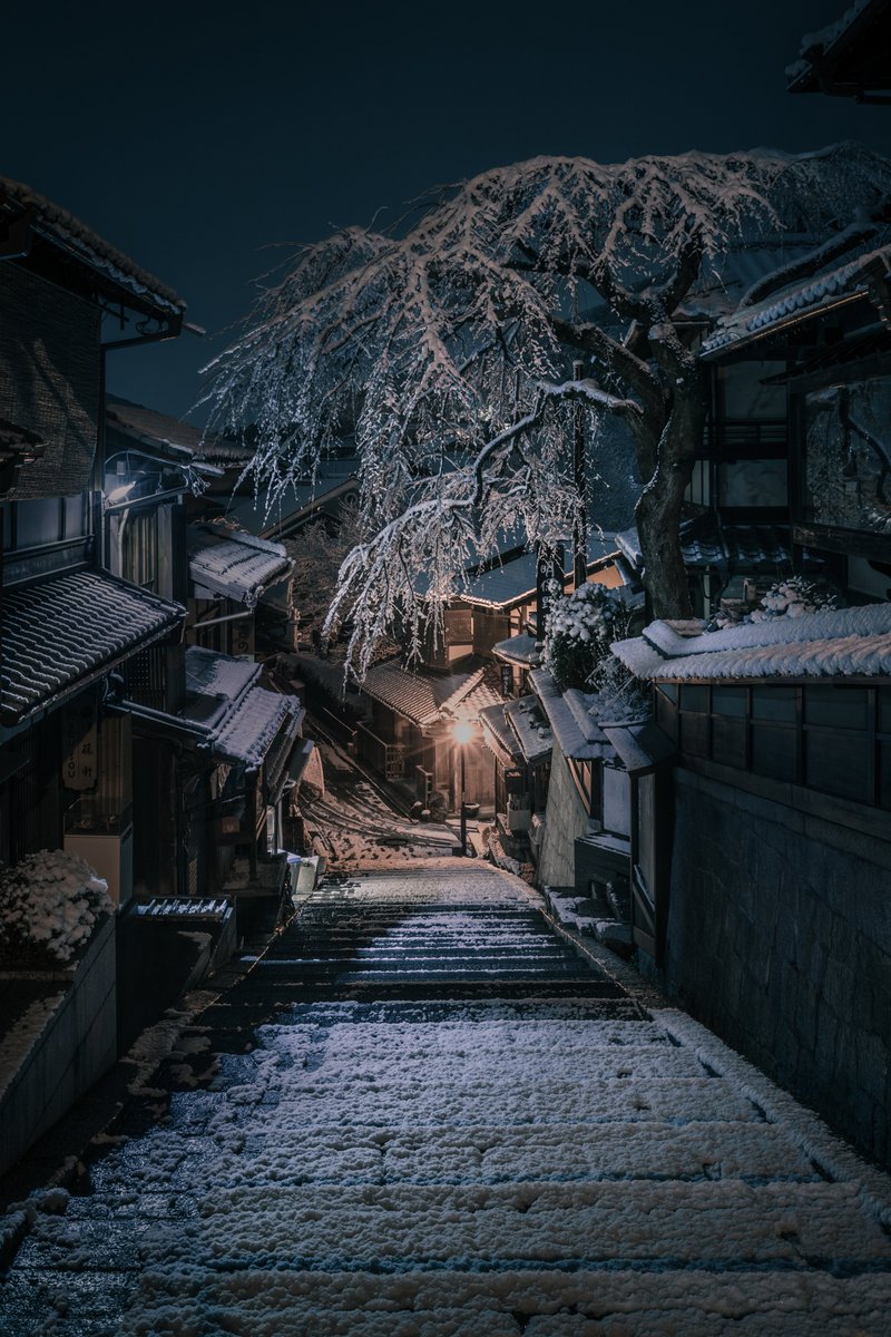 Ryogo_Urata's tweet photo. 三年坂の枝垂桜に、雪の花が咲いた。 https://t.co/uibmvvmZUR