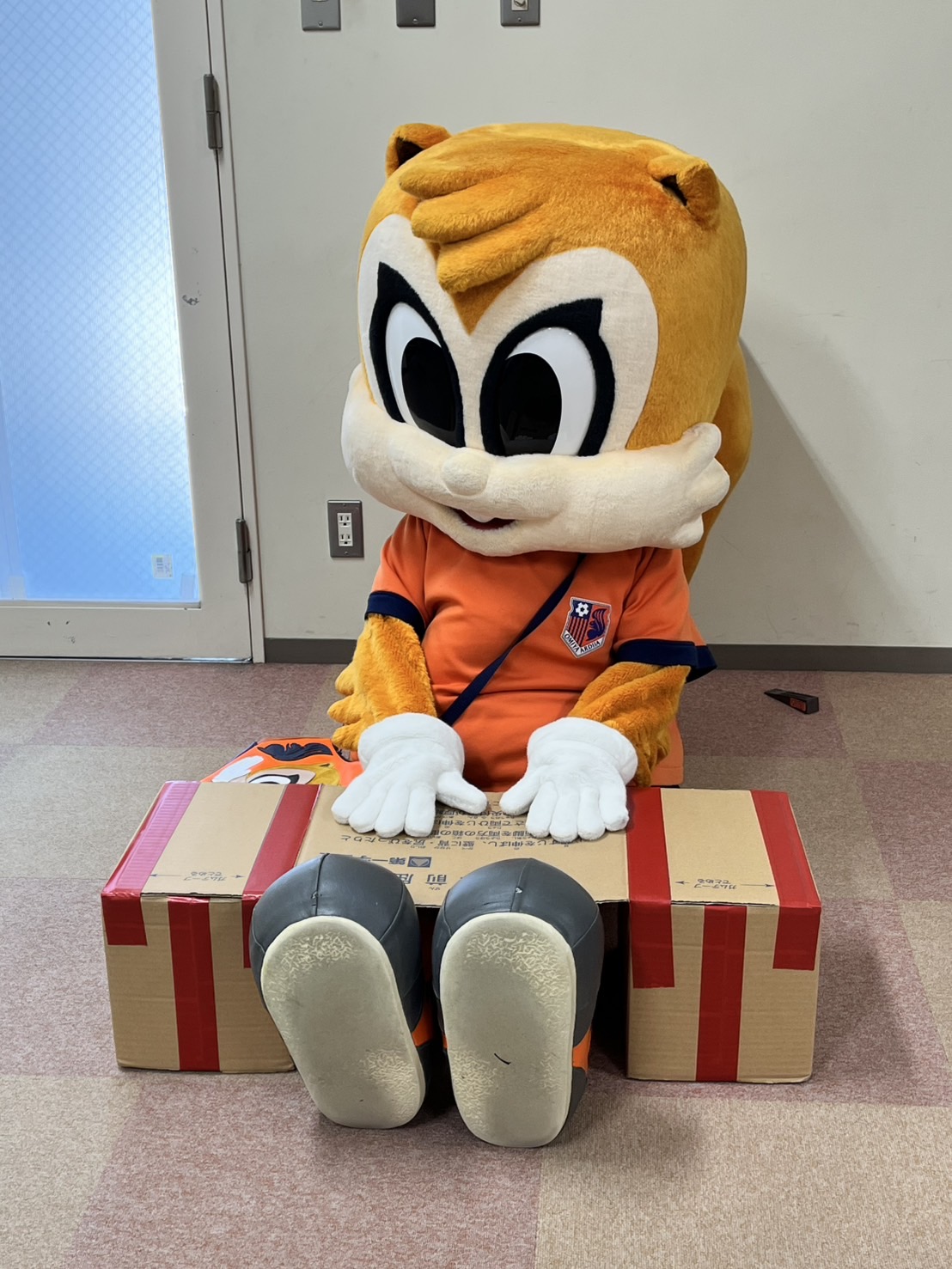 アルディ🐿 (@Ardija_Ardy) / X