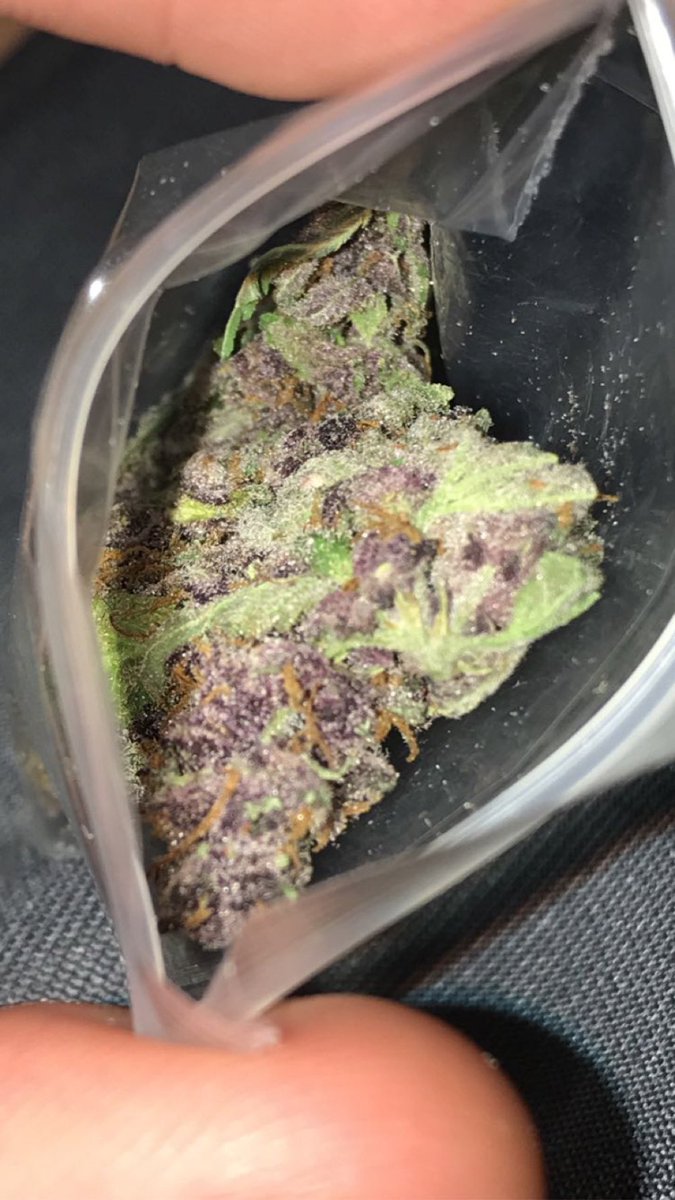 Purple Haze 😍😍