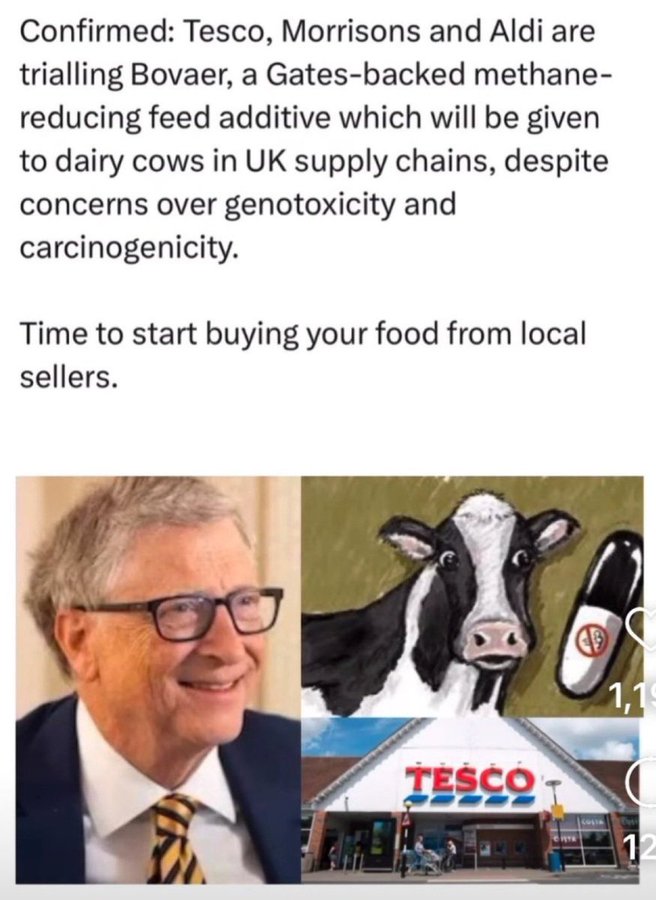 MatildaRat12's tweet image. @Coles has listened to the genocidal psychopath, Bill Gates, &amp;amp; will add Bovaer10 to our beef! 

#BoycottColes

@RobertKennedyJr