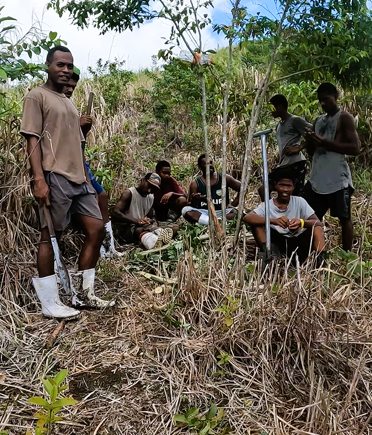 Pacific_Ark's tweet photo. 🌿 Exciting Announcement! 🌿

We are thrilled to share our latest project in collaboration with Vusaratu Village,  and Dr. Richard Markham, its approx. 1.5 hours from Savusavu on Vanua Levu! 🎉

🌱 Project Purpose:
Our goal is to establish community-managed agroforestry plots and https://t.co/duu5eK7DxI