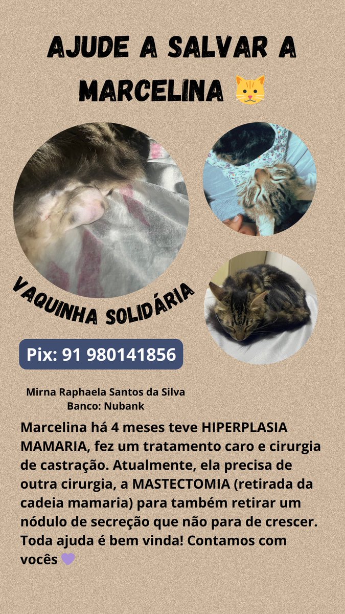 Mirnamora__'s tweet photo. gente, a Marcelina precisa da ajuda de vcs! qualquer valor é bem vindo. até o momento não arrecadei nem a metade (tudo tá perto de 4 mil), apenas 129 reais, então se puderem me ajudar nem que seja compartilhando, eu agradeço 💜 https://t.co/C9WyoX36bd