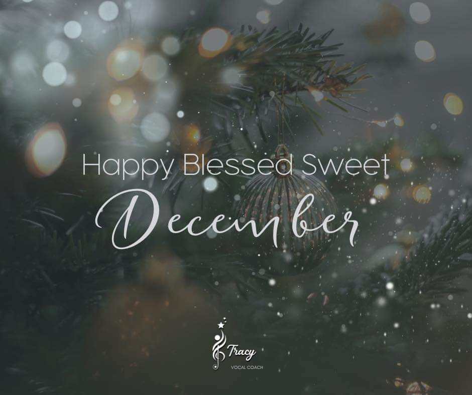 🎄✨🍷