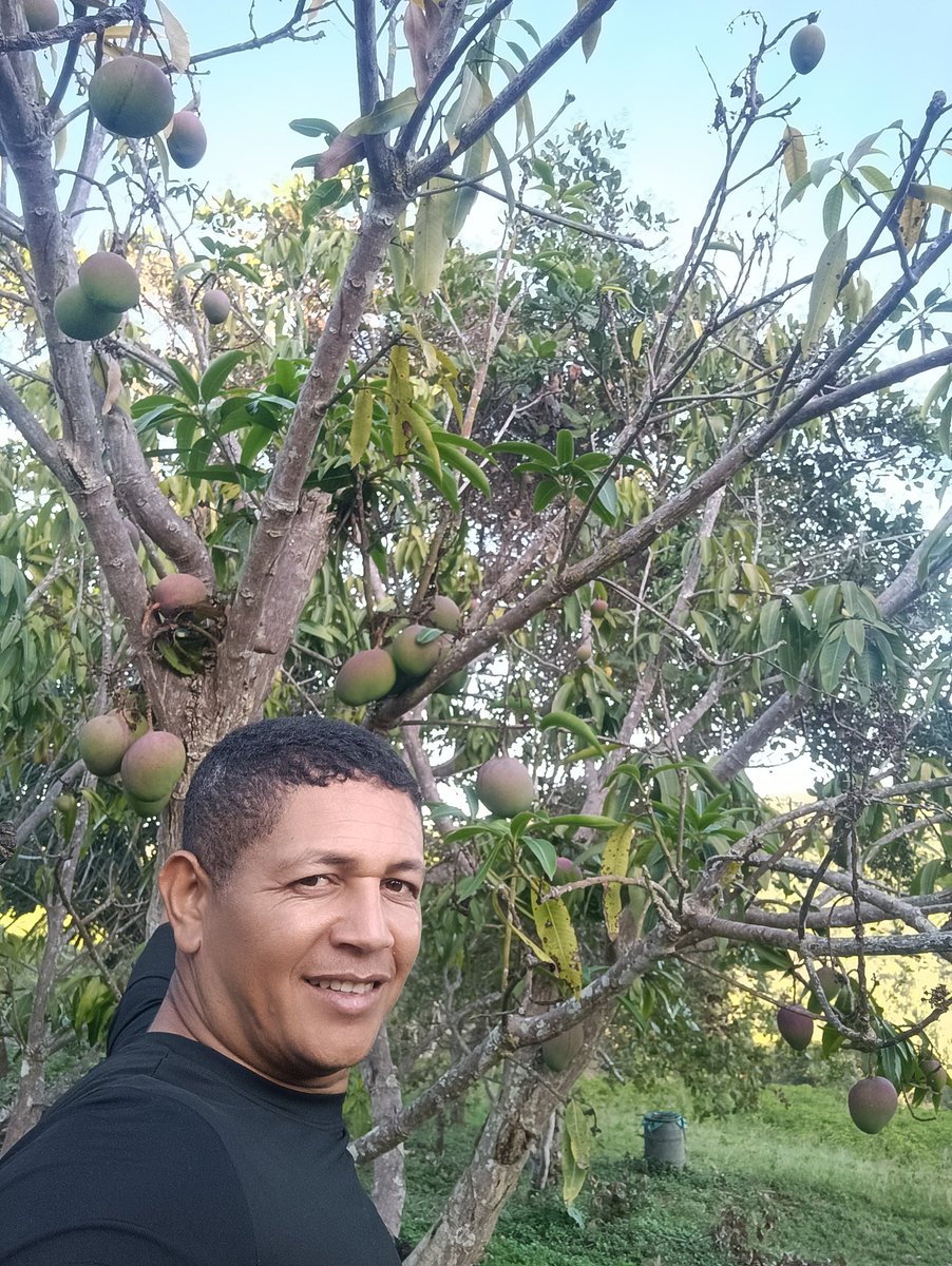 Sítio WSA