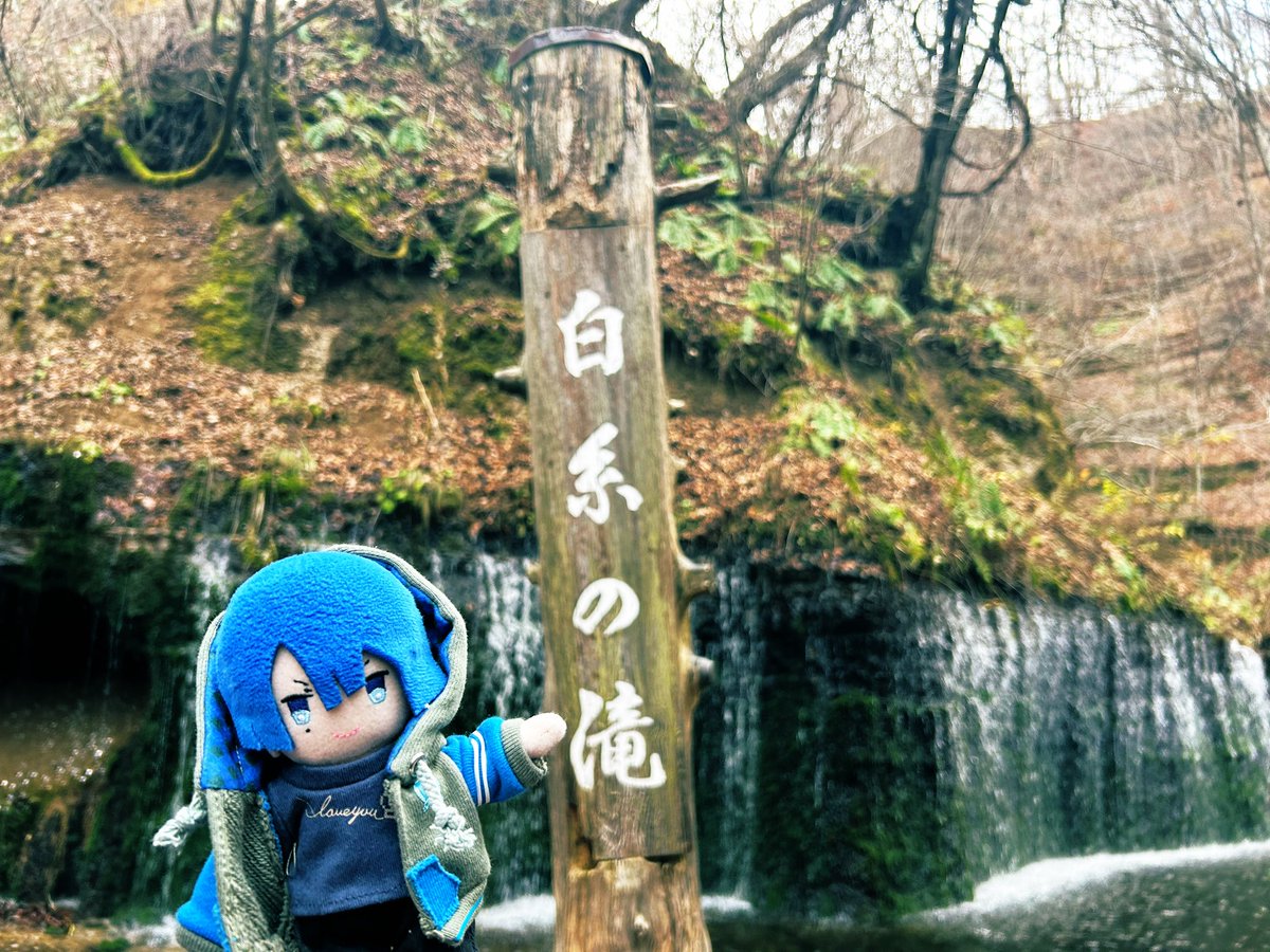 イスチート tweet media