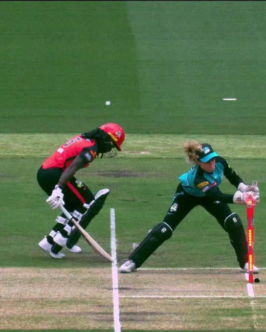 How about that 😳  Deandra Dottin is out without facing a ball in bizarre circumstances!  📹 Credits: Twitter/WBBL
