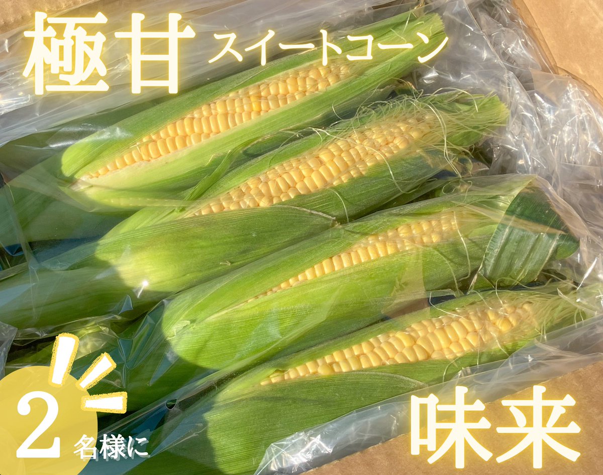 冬のとうもろこしプレゼント企画🎁

生が旨い!!
スイートコーン味来10本を
2名様にプレゼント致します

応募方法　フォロー＆この投稿をリポスト
応募期間　12/4(水)24:00まで