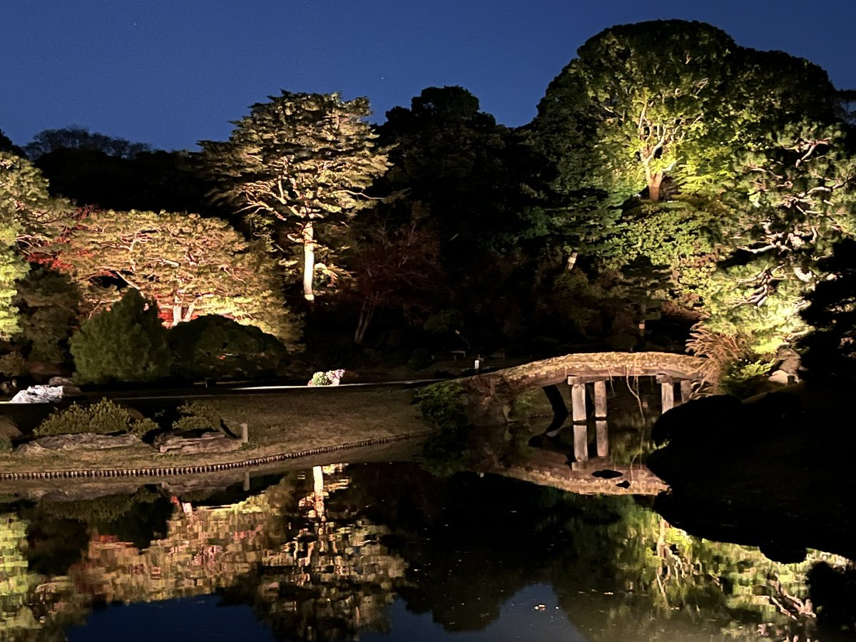 PaprikaGirl_JP's tweet photo. Rikugien (六義園) in Tokyo has the autumn gardens lit up at nights after 6! I took advantage of the warm evening the other night and visited. It was well worth it. Kyoto also has similar events in the parks this time of year! https://t.co/OPqMTCh62i