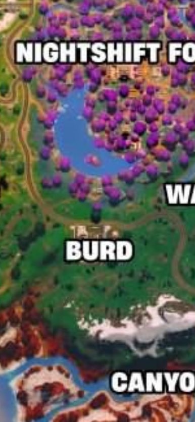 Bricky67_'s tweet photo. Glaswegian females being accepted into Fortnite in 2024 https://t.co/Sxs1XUnsZ5