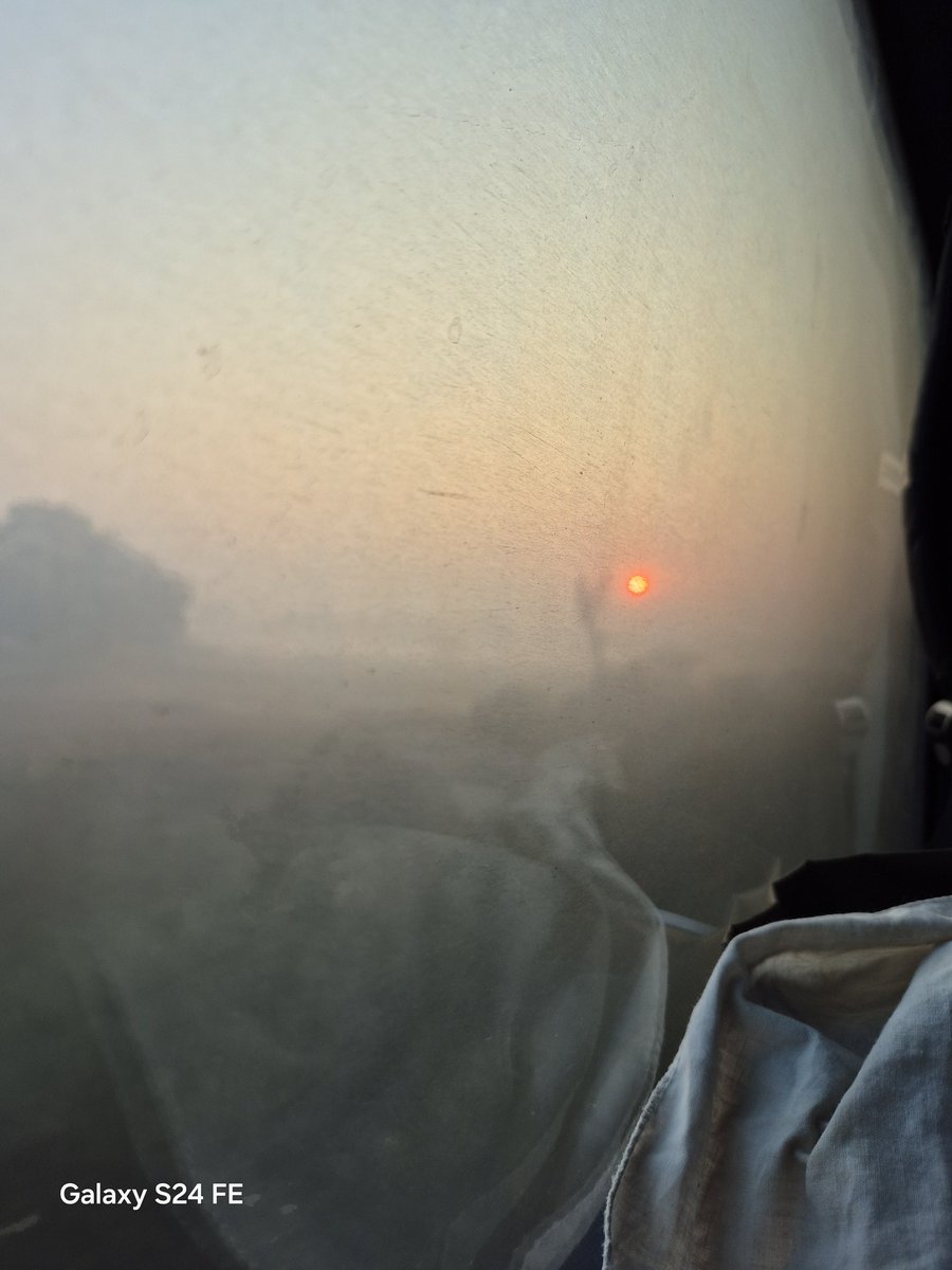 dpdinesh17's tweet image. Good morning to all my x mate ✨️