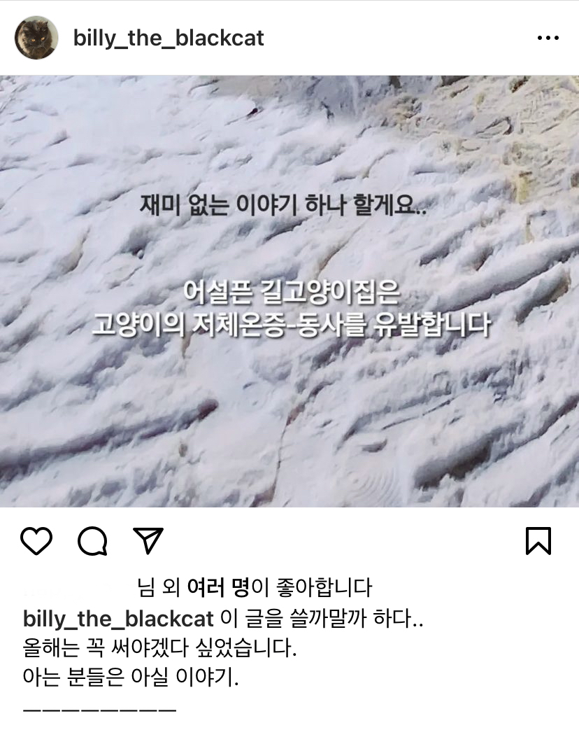 museun_happen's tweet photo. 길냥이들 집 어설프게 마련해주면 오히려 죽이게 되는 결말을 맞이한다 https://t.co/5pjwvlKHKH